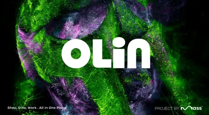 مول أولين التجمع الخامس ماس للتطوير والاستثمار العقاري - Olin New Cairo Mall